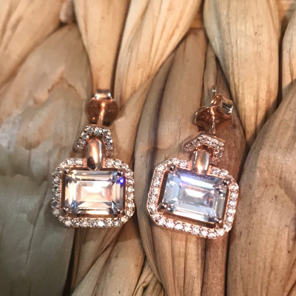 Rose Silver SET
